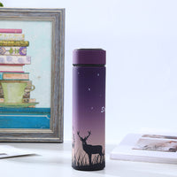 Chic Cartoon Themed Insulated Bottle