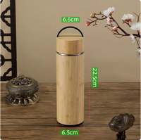 Stylish Insulated Steel Cup/Thermos