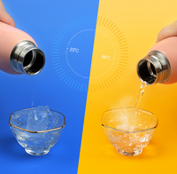 ThermoSmart 330ml Flask