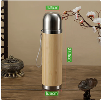 Stylish Insulated Steel Cup/Thermos