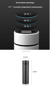 TempSmart 500ml Steel Thermal Bottle